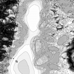 A Day in Asia 202204050559