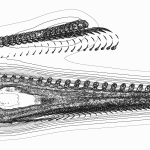 A Day in Asia 202204130737