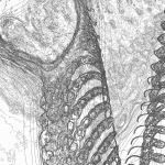 A Day in Asia 202204162112