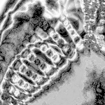 A Day in Asia 202204200204