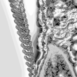 A Day in Asia 202204200214