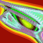 A Day in Asia 202204231752