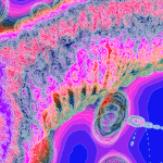 A Day in Asia 202204241102