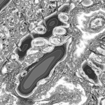 A Day in Asia 20220417