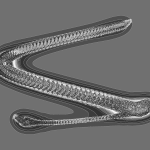 A Day in Asia 202204270843