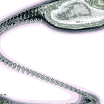 A Day in Asia 202204290614