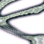 A Day in Asia 202204290756