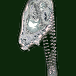 A Day in Asia 202204301453