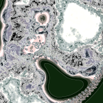 A Day in Asia 202204302053