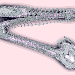 A Day in Asia 202205010709