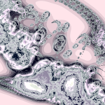 A Day in Asia 202205011010