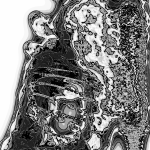 A Day in Asia 202205041557