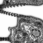 A Day in Asia 202205061116