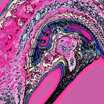 A Day in Asia 202205072109