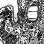 A Day in Asia 202205081021