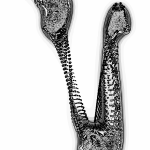 A Day in Asia 202205101452