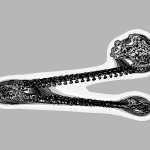 A Day in Asia 202205120613