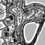 A Day in Asia 202205130827