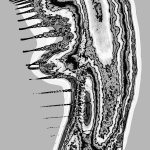 A Day in Asia 202205140919