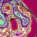 A Day in Asia 202205161425