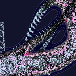 A Day in Asia 202205170059