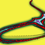 A Day in Asia 202205191737