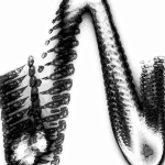 A Day in Asia 202205201107