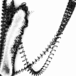 A Day in Asia 202205222008