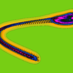 A Day in Asia 202205230641