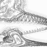 A Day in Asia 202205240659