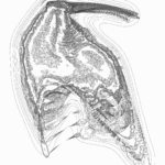 A Day in Asia 202205251420