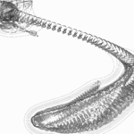 A Day in Asia 202205252041