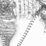 A Day in Asia 202205260106