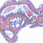 A Day in Asia 202205282336