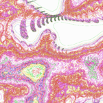 A Day in Asia 202205291629