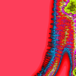 Just alive (with no particular aim) 20220512