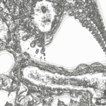 A Day in Asia 202206041502