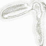 A Day in Asia 202206050320