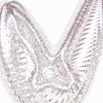 A Day in Asia 202206080730