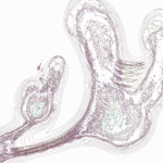 A Day in Asia 202206091003