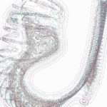 A Day in Asia 202206120941