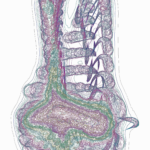 A Day in Asia 202206130514