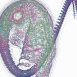 A Day in Asia 202206141729