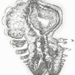 A Day in Asia 202206160511