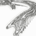 A Day in Asia 202206170017