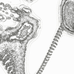 A Day in Asia 202206172311