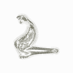 A Day in Asia 202206220903