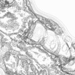 A Day in Asia 202206240020