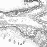 A Day in Asia 202206251848