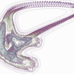 A Day in Asia 202206261726